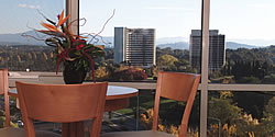 Waldorf Apartment Hotel Canberra - Accommodation 4U 5