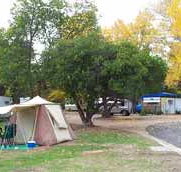 Wedderburn Pioneer Caravan Park - Accommodation 4U