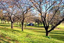 Wellington Caves Caravan Park - Accommodation 4U 0