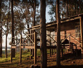 Balingup Heights Hilltop Forest Cottages - Accommodation 4U 2