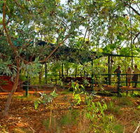Arnhemland Barramundi Nature Lodge - Accommodation 4U