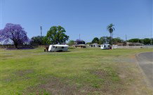 Grafton Showground Caravan Park - Accommodation 4U 0