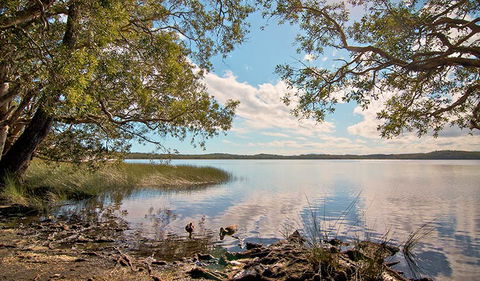 Johnsons Beach Campground - Accommodation 4U 1
