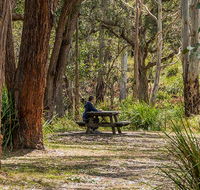 Koreelah Creek campground - Accommodation 4U