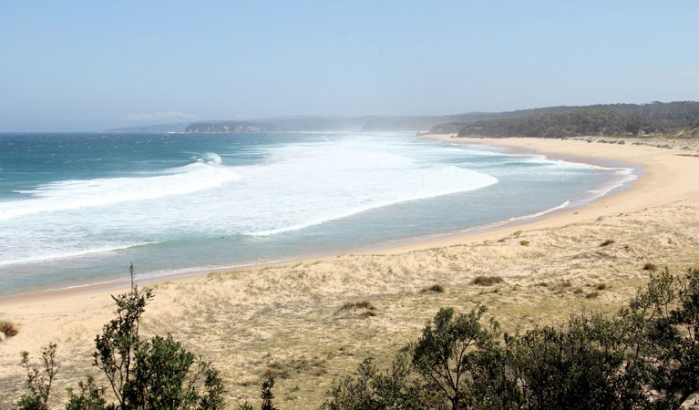 Tanja NSW Accommodation 4U