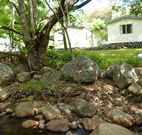 Mt Warning Rainforest Park - Accommodation 4U