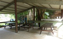 Mt Warning Rainforest Park - Accommodation 4U 4