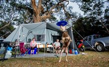 North Coast Holiday Parks North Haven - Accommodation 4U 6