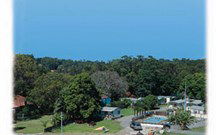 Paradise Palms Caravan Park - Accommodation 4U 3