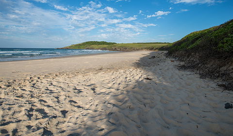 Racecourse Campground - Accommodation 4U 2