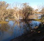 Warrawong on the Darling - Accommodation 4U