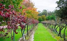 Peppers Convent Hunter Valley - Accommodation 4U 4