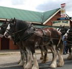 Araluen Valley Hotel - Araluen - Accommodation 4U