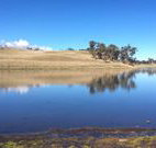 Bombala Maneroo Motel - Bombala - Accommodation 4U