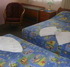 Civic Motel Grafton - Grafton - Accommodation 4U