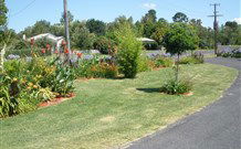 Glen Innes Motel - Glen Innes - Accommodation 4U 1