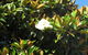 Golfers Lodge Motel - Corowa - thumb 3