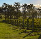 H Boutique Hotel - Pokolbin - Accommodation 4U