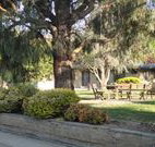 Hamilton Hume Motor Inn - Yass - Accommodation 4U