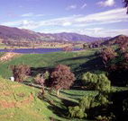 Motel Royal Tara - Binalong - Accommodation 4U