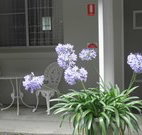 Pine Lodge Motel - Woolgoolga - Accommodation 4U