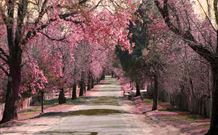 Royal Hotel Hill End - Hill End - Accommodation 4U 2