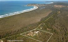 Surfaris Surf Camp - Crescent Head - Accommodation 4U 1