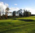 Tenterfield Golf Club and Fairways Lodge - Tenterfield - Accommodation 4U