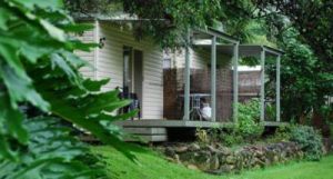 Mt Warning Rainforest Park - Accommodation 4U 6