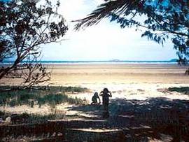 Midge Point QLD Accommodation 4U