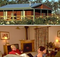 Twin Trees Country Cottages - Accommodation 4U
