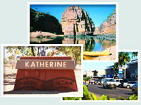 Red Gum Tourist Park - Accommodation 4U 0