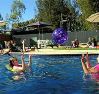Kingston On Murray Caravan Park - Accommodation 4U