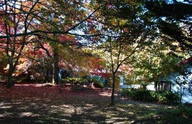 Kubba Roonga Blackheath - Accommodation 4U 4