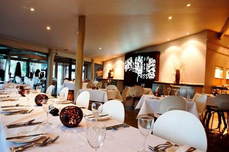 Cedar Creek Lodges - Accommodation 4U 1