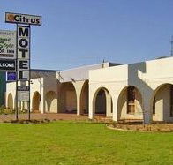 Citrus Motel - Accommodation 4U