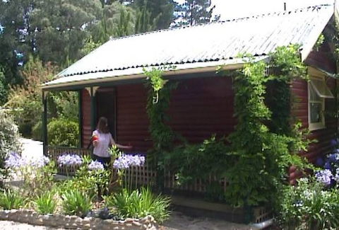 Cedar Lodge Cabins - Accommodation 4U 1