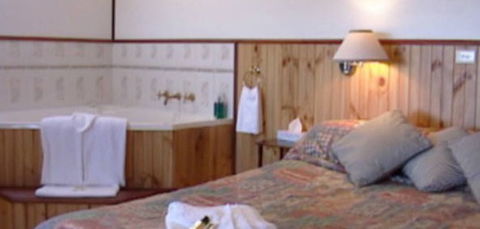Cedar Lodge Cabins - Accommodation 4U 2