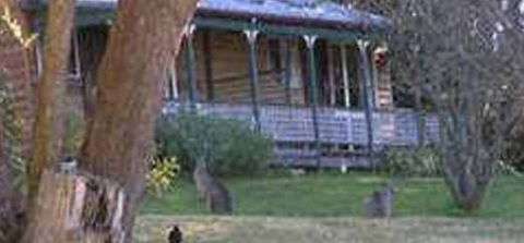 Cedar Lodge Cabins - Accommodation 4U 3