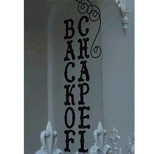 Back Of Chapel Backpackers Hostel - Accommodation 4U 3