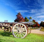 The Oaks Ranch and Country Club - Mossy Point - Accommodation 4U