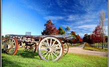 The Oaks Ranch And Country Club - Mossy Point - Accommodation 4U 0