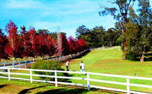The Oaks Ranch And Country Club - Mossy Point - Accommodation 4U 1
