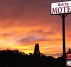 Walcha Motel - Walcha - Accommodation 4U
