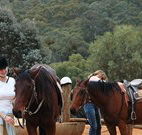 Clark Bay Cottages - Accommodation 4U