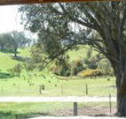 Hosanna Farm Retreat - Accommodation 4U