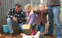 Linga Longa Farm Wingham - Accommodation 4U 0