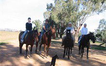 Linga Longa Farm Wingham - Accommodation 4U 1