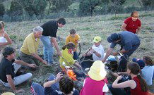 Linga Longa Farm Wingham - Accommodation 4U 3