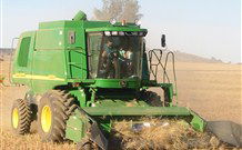 Linga Longa Farm Wingham - Accommodation 4U 4